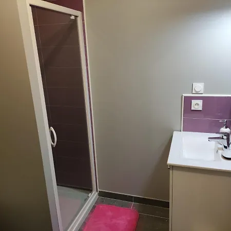 T2 De Standing Avec Jardin, Terrasse Et Wi-fi Au Centre De - Fr-1-541-67