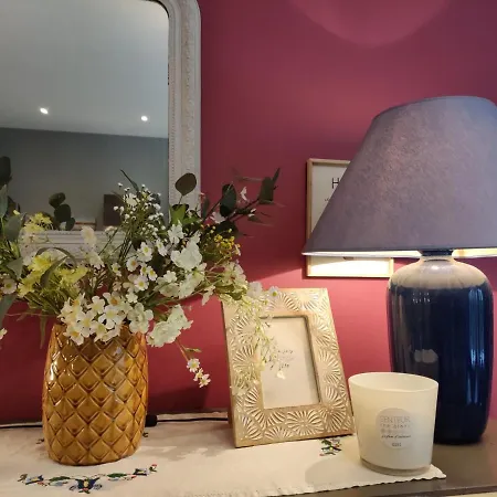 T2 De Standing Avec Jardin, Terrasse Et Wi-fi Au Centre De - Fr-1-541-67