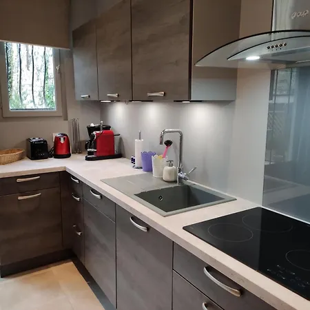 公寓 T2 De Standing Avec Jardin, Terrasse Et Wi-fi Au Centre De - Fr-1-541-67