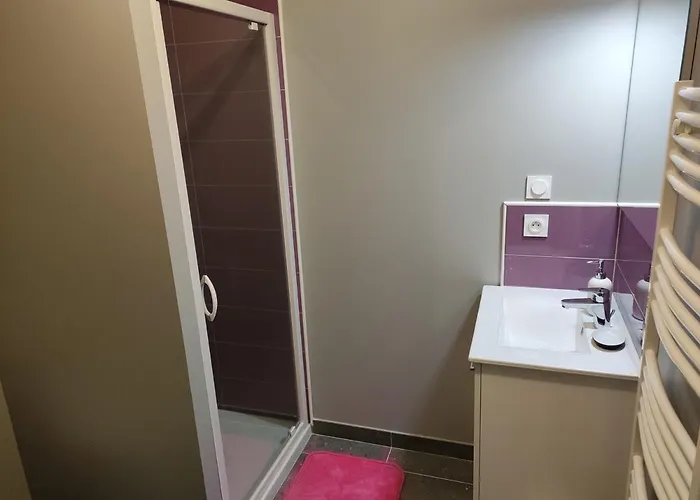 T2 De Standing Avec Jardin, Terrasse Et Wi-fi Au Centre De - Fr-1-541-67