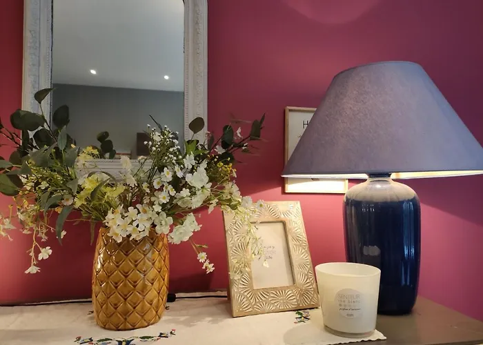 T2 De Standing Avec Jardin, Terrasse Et Wi-fi Au Centre De - Fr-1-541-67