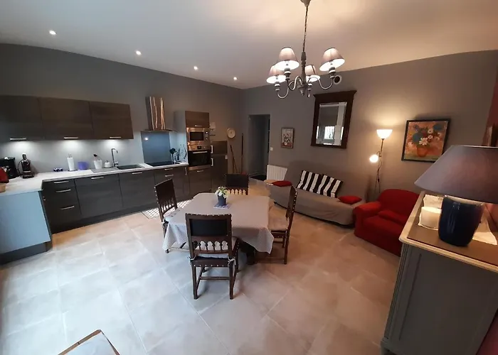 T2 De Standing Avec Jardin, Terrasse Et Wi-fi Au Centre De - Fr-1-541-67 * 拉罗什波赛