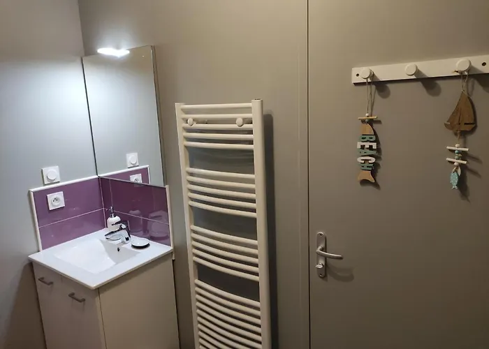 T2 De Standing Avec Jardin, Terrasse Et Wi-fi Au Centre De - Fr-1-541-67 公寓 *