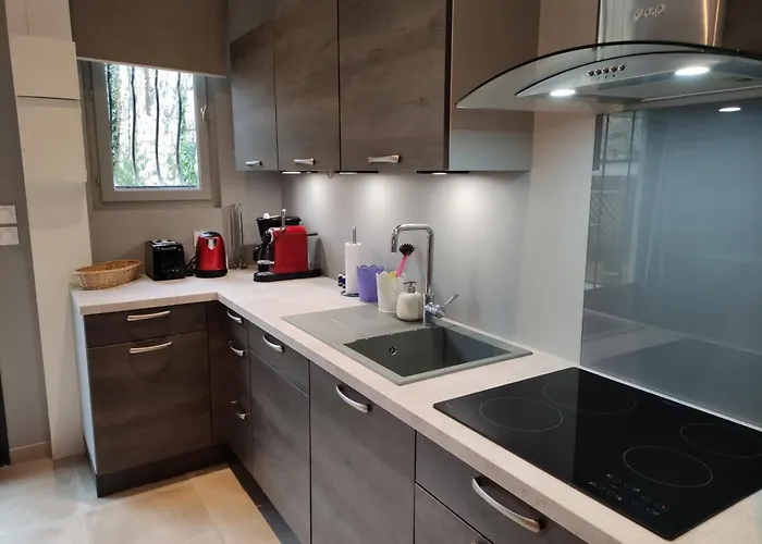 公寓 T2 De Standing Avec Jardin, Terrasse Et Wi-fi Au Centre De - Fr-1-541-67